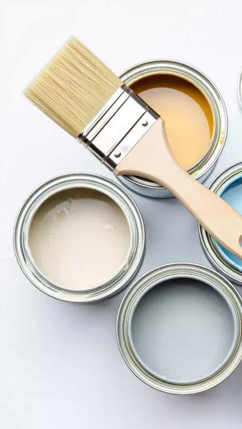 Paints & Coatings