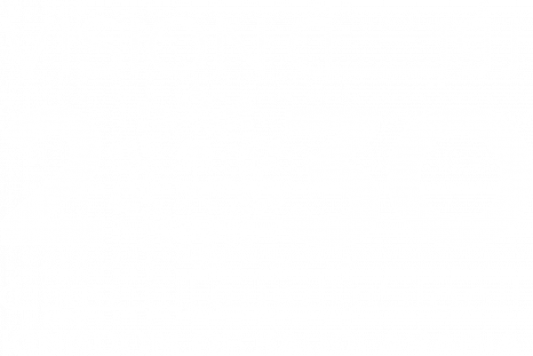Saudi Vision 2030